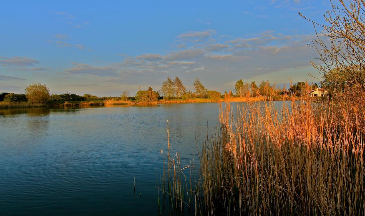 Fields End Lodges Doddington  Экстерьер фото